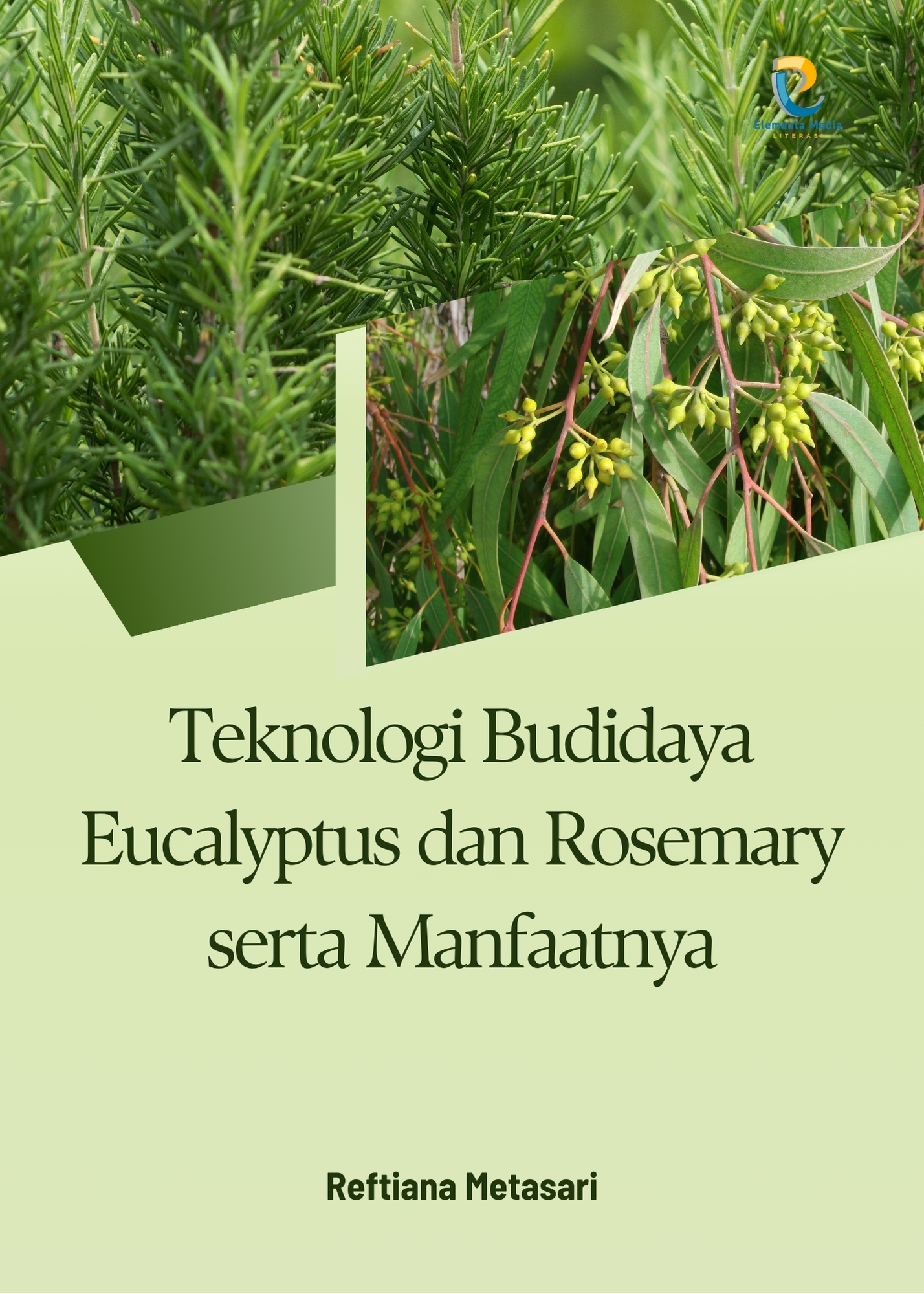 Teknologi Budidaya Eucalyptus dan Rosemary serta Manfaatnya